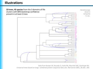 Illustrations
 23 trees, 45 species from the 3 domains of life                                                 Dendroscope
 clusters with 80% bootstrap confidence                                                               (level-3
 present in at least 2 trees                                                                        network)
                                                                                                       <1 sec.




                                          Data from Brown JR, Douady CJ, Italia MJ, Marshall WE, Stanhope MJ:
             Universal trees based on large combined protein sequence data sets. Nat Genet 2001, 28:281--285
 