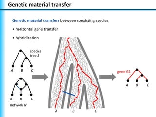 Genetic material transfer

    Genetic material transfers between coexisting species:
    • horizontal gene transfer
    • hybridization


              species
              tree S


 A      B     C                                              gene G1


                                                                 A     B   C


A       B     C
network N
                            A        B           C
 