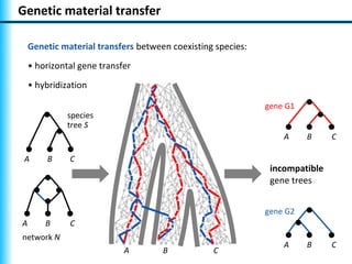 Genetic material transfer

    Genetic material transfers between coexisting species:
    • horizontal gene transfer
    • hybridization

                                                             gene G1
              species
              tree S
                                                                 A     B     C

 A      B     C
                                                              incompatible
                                                              gene trees


                                                             gene G2
A       B     C
network N
                                                                 A     B     C
                            A        B           C
 