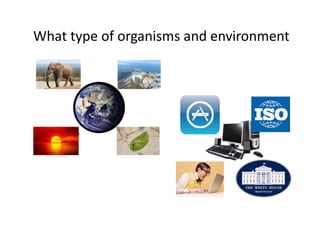 What type of organisms and environment
 