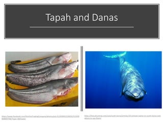 Tapah and Danas
https://www.facebook.com/ShinYeeTradingCompany/photos/pcb.512439932224035/512439
868890708/?type=3&theater
https://theculturetrip.com/asia/south-korea/articles/10-animals-native-to-south-korea-and-
where-to-see-them/
 