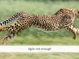 Agile not enough
 