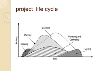 project life cycle
 