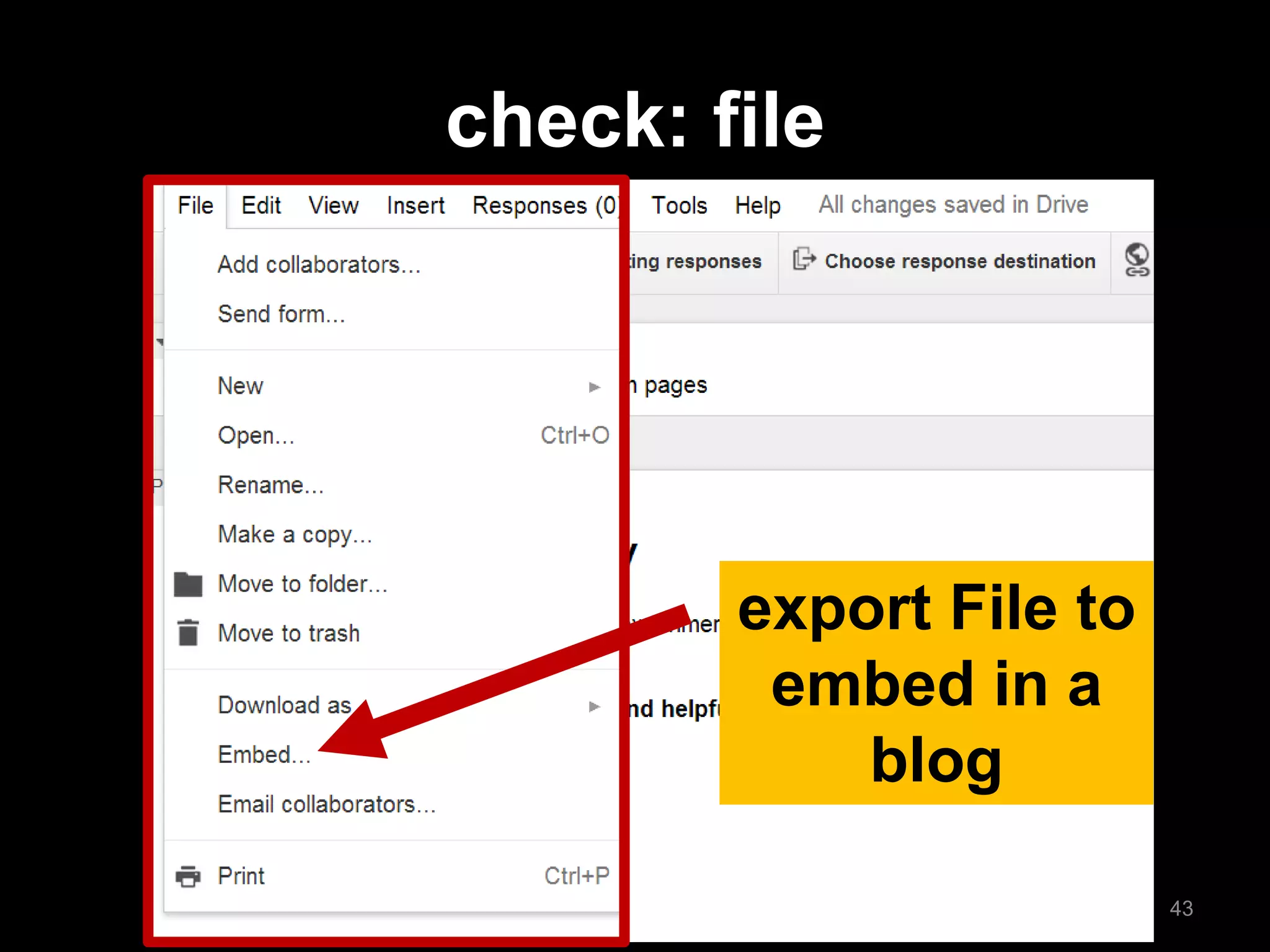 export File to embed in a blog 
check: file 
43  