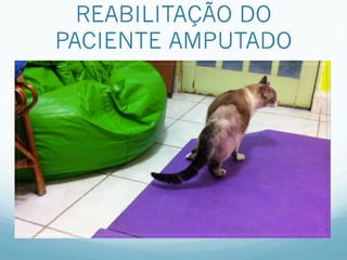 REABILITAÇÃO DO
PACIENTE AMPUTADO
 