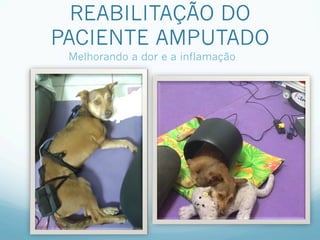 REABILITAÇÃO DO
PACIENTE AMPUTADO
 Melhorando a dor e a inflamação
 