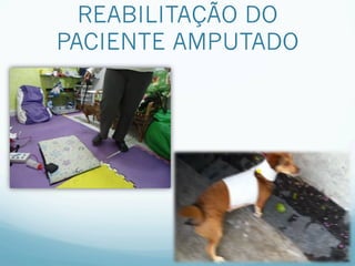 REABILITAÇÃO DO
PACIENTE AMPUTADO
 