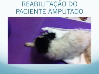 REABILITAÇÃO DO
PACIENTE AMPUTADO
 