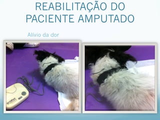 REABILITAÇÃO DO
PACIENTE AMPUTADO
Alívio da dor
 
