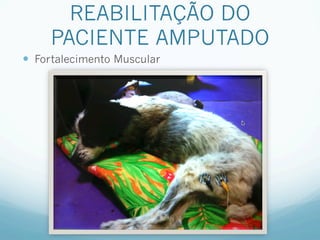 REABILITAÇÃO DO
     PACIENTE AMPUTADO
—  Fortalecimento Muscular
 