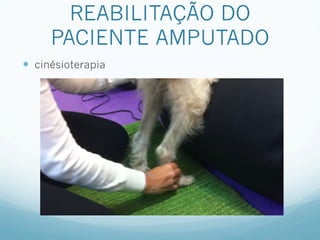 REABILITAÇÃO DO
      PACIENTE AMPUTADO
—  cinésioterapia
 