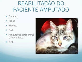 REABILITAÇÃO DO
       PACIENTE AMPUTADO
—  Catatau
—  Felino
—  Macho,
—  Srd;
—  Amputação tarço MPE;
   (traumática);

—  DCF;
 