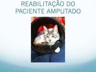 REABILITAÇÃO DO
PACIENTE AMPUTADO
 
