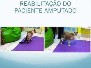 REABILITAÇÃO DO
PACIENTE AMPUTADO
 