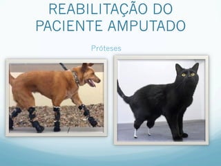 REABILITAÇÃO DO
PACIENTE AMPUTADO
      Próteses
 