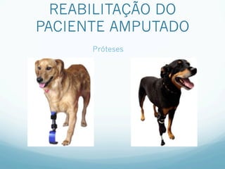 REABILITAÇÃO DO
PACIENTE AMPUTADO
      Próteses
 