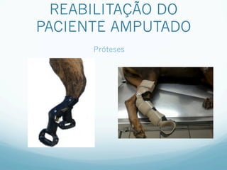 REABILITAÇÃO DO
PACIENTE AMPUTADO
      Próteses
 