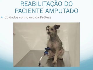 REABILITAÇÃO DO
         PACIENTE AMPUTADO
—  Cuidados com o uso da Prótese
 