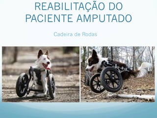 REABILITAÇÃO DO
PACIENTE AMPUTADO
    Cadeira de Rodas
 
