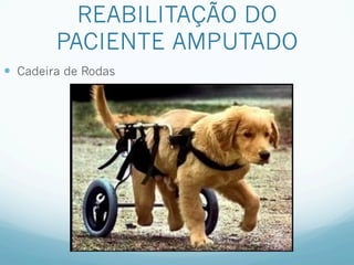 REABILITAÇÃO DO
         PACIENTE AMPUTADO
—  Cadeira de Rodas
 