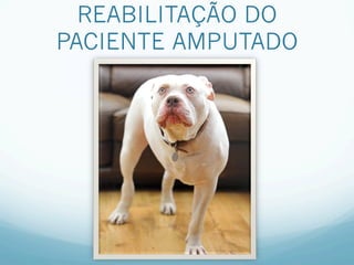 REABILITAÇÃO DO
PACIENTE AMPUTADO
 