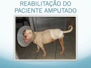 REABILITAÇÃO DO
PACIENTE AMPUTADO
 