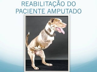 REABILITAÇÃO DO
PACIENTE AMPUTADO
 