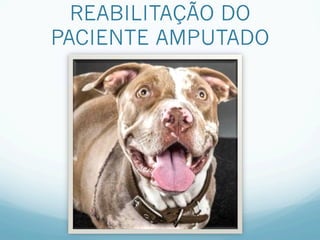 REABILITAÇÃO DO
PACIENTE AMPUTADO
 
