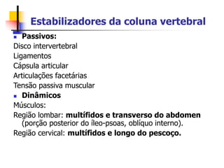Estabilizadores da coluna vertebral
 Passivos:
Disco intervertebral
Ligamentos
Cápsula articular
Articulações facetárias
Tensão passiva muscular
 Dinâmicos
Músculos:
Região lombar: multífidos e transverso do abdomen
(porção posterior do íleo-psoas, oblíquo interno).
Região cervical: multífidos e longo do pescoço.
 