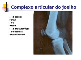 Complexo articular do joelho
 3 ossos:
Fêmur
Tíbia
Patela
 2 articulações:
Tibio-femural
Patelo-femural
 