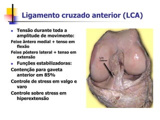 Ligamento cruzado anterior (LCA)
 Tensão durante toda a
amplitude de movimento:
Feixe ântero medial + tenso em
flexão
Feixe póstero lateral + tenso em
extensão
 Funções estabilizadoras:
Contenção para gaveta
anterior em 85%
Controle de stress em valgo e
varo
Controle sobre stress em
hiperextensão
 
