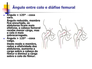 Ângulo entre colo e diáfise femural
 Ângulo < 125º →coxa
vara.
Ângulo reduzido, membro
fica encurtado, os
abdutores ficam mais
efetivos, a cabeça femoral
recebe menor carga, mas
o colo é mais
sobrecarregado.
 Ângulo > 125º →coxa
valga.
Deste modo o membro,
reduz a efetividade dos
abdutores, aumenta a
carga sobre a cabeça do
fêmur e diminui a carga
sobre o colo do fêmur.
 