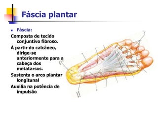 Fáscia plantar
 Fáscia:
Composta de tecido
conjuntivo fibroso.
À partir do calcâneo,
dirige-se
anteriormente para a
cabeça dos
metatarsos.
Sustenta o arco plantar
longitunal
Auxilia na potência de
impulsão
 