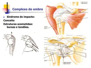 Complexo do ombro
 Síndrome do impacto:
Conceito
Estruturas acometidas:
bursas e tendões.
 