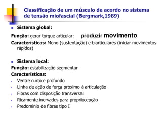  Sistema global:
Função: gerar torque articular: produzir movimento
Características: Mono (sustentação) e biarticulares (iniciar movimentos
rápidos)
 Sistema local:
Função: estabilização segmentar
Características:
• Ventre curto e profundo
• Linha de ação de força próximo à articulação
• Fibras com disposição transversal
• Ricamente inervados para propriocepção
• Predomínio de fibras tipo I
Classificação de um músculo de acordo no sistema
de tensão miofascial (Bergmark,1989)
 
