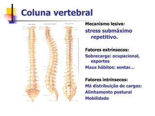Coluna vertebral
Mecanismo lesivo:
stress submáximo
repetitivo.
Fatores extrínsecos:
Sobrecarga: ocupacional,
esportes
Maus hábitos: sentar...
Fatores intrínsecos:
Má distribuição de cargas:
Alinhamento postural
Mobilidade
 