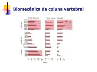 Biomecânica da coluna vertebral
 