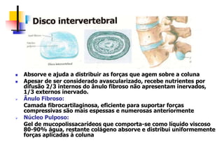  Absorve e ajuda a distribuir as forças que agem sobre a coluna
 Apesar de ser considerado avascularizado, recebe nutrientes por
difusão 2/3 internos do ânulo fibroso não apresentam inervados,
1/3 externos inervado.
 Ânulo Fibroso:
Camada fibrocartilaginosa, eficiente para suportar forças
compressivas são mais espessas e numerosas anteriormente
 Núcleo Pulposo:
Gel de mucopolissacarídeos que comporta-se como líquido viscoso
80-90% água, restante colágeno absorve e distribui uniformemente
forças aplicadas à coluna
 
