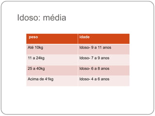 Idoso: média

  peso            idade

  Até 10kg        Idoso- 9 a 11 anos

  11 a 24kg       Idoso- 7 a 9 anos

  25 a 40kg       Idoso- 6 a 8 anos

  Acima de 41kg   Idoso- 4 a 6 anos
 