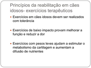 Princípios da reabilitação em cães
idosos- exercícios terapêuticos
 Exercícios em cães idosos devem ser realizados
 com tolerância

 Exercícios de baixo impacto provam melhorar a
 função e reduzir a dor

 Exercícios com pesos leves ajudam a estimular o
 metabolismo da cartilagem e aumentam a
 difusão de nutrientes
 