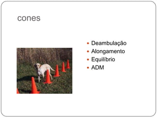 cones

         Deambulação
         Alongamento
         Equilíbrio
         ADM
 