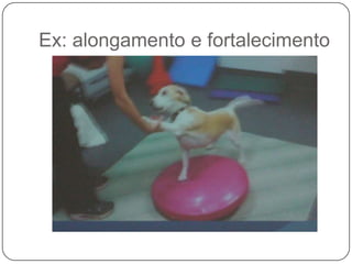 Ex: alongamento e fortalecimento
 