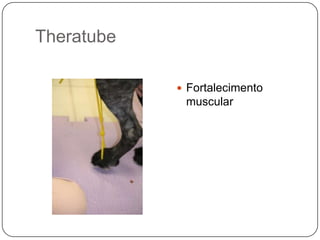 Theratube

             Fortalecimento
             muscular
 