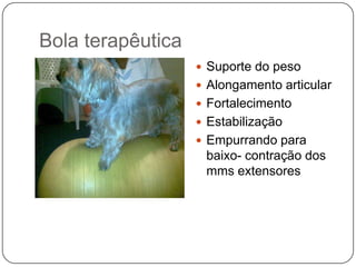 Bola terapêutica
                    Suporte do peso
                    Alongamento articular
                    Fortalecimento
                    Estabilização
                    Empurrando para
                    baixo- contração dos
                    mms extensores
 