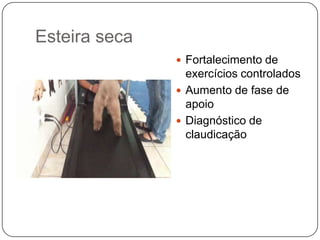 Esteira seca
                Fortalecimento de
                 exercícios controlados
                Aumento de fase de
                 apoio
                Diagnóstico de
                 claudicação
 