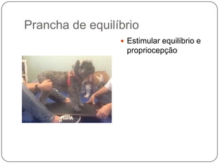 Prancha de equilíbrio
                  Estimular equilíbrio e
                  propriocepção
 