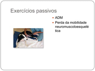 Exercícios passivos
                  ADM
                  Perda da mobilidade
                  neuromuscoloesquelé
                  tica
 
