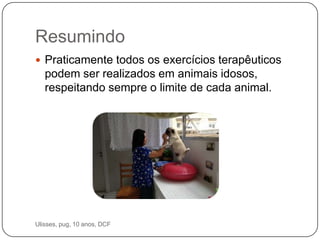 Resumindo
 Praticamente todos os exercícios terapêuticos
   podem ser realizados em animais idosos,
   respeitando sempre o limite de cada animal.




Ulisses, pug, 10 anos, DCF
 