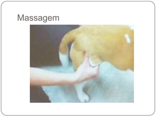 Massagem
 