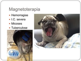 Magnetoterapia
 Hemorragias
 I.C. severa
 Micoses
 Tuberculose




associação de agentes físicos
 